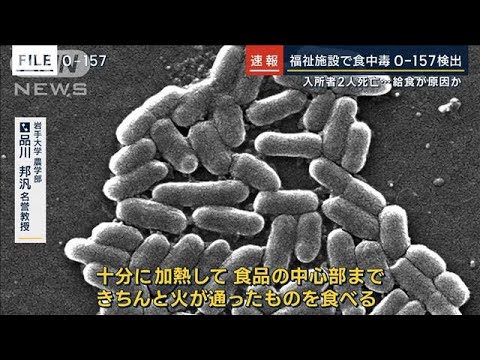 O－157検出…食事提供した事業所の営業禁止　社会福祉施設で33人食中毒　2人死亡(2023年11月15日)