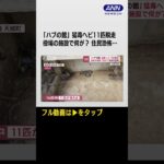 #shorts  「ハブの館」で猛毒ヘビ11匹脱走　役場の施設で何が　住民恐怖…