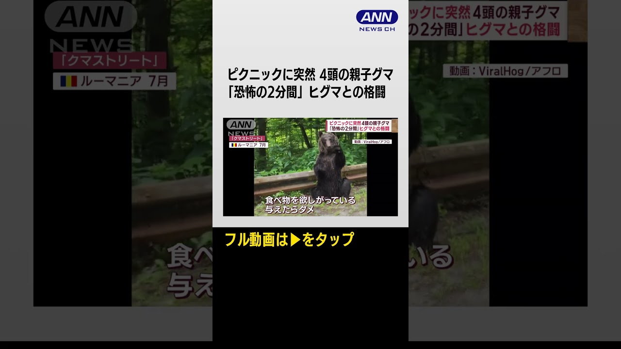 #shorts ピクニックに突然 4頭の親子グマ「恐怖の2分間」ヒグマとの格闘