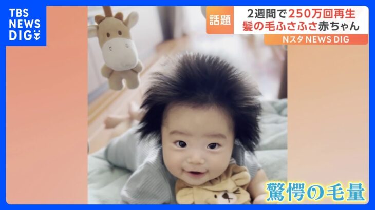 癒される！髪の毛がふさふさの赤ちゃんがSNSで話題！実はお母さんはもっと…｜TBS NEWS DIG