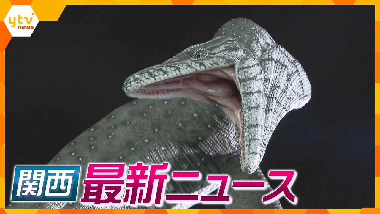 【ニュースライブ 12/13(水)】17年前発見の化石は新種だった/２歳女児を監禁死 男に懲役６年/３歳の孫を暴行・死亡 祖母に懲役８年 ほか【随時更新】