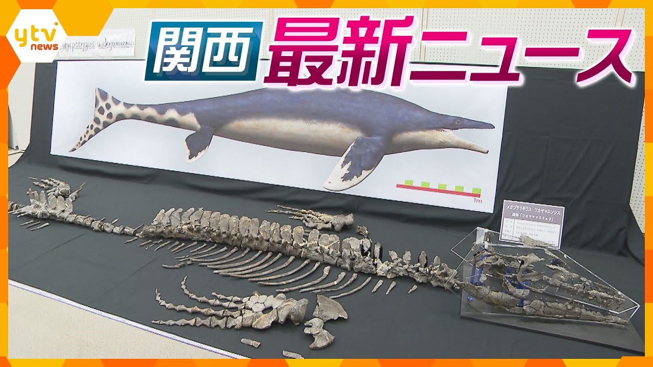【ニュースライブ 12/13(水)】17年前発見の化石は「モササウルス」新種/死亡事故後にマニュアル作成か/逮捕の自衛官「襲う相手探して中心部に」/芸妓・舞妓が「事始め」　ほか【随時更新】