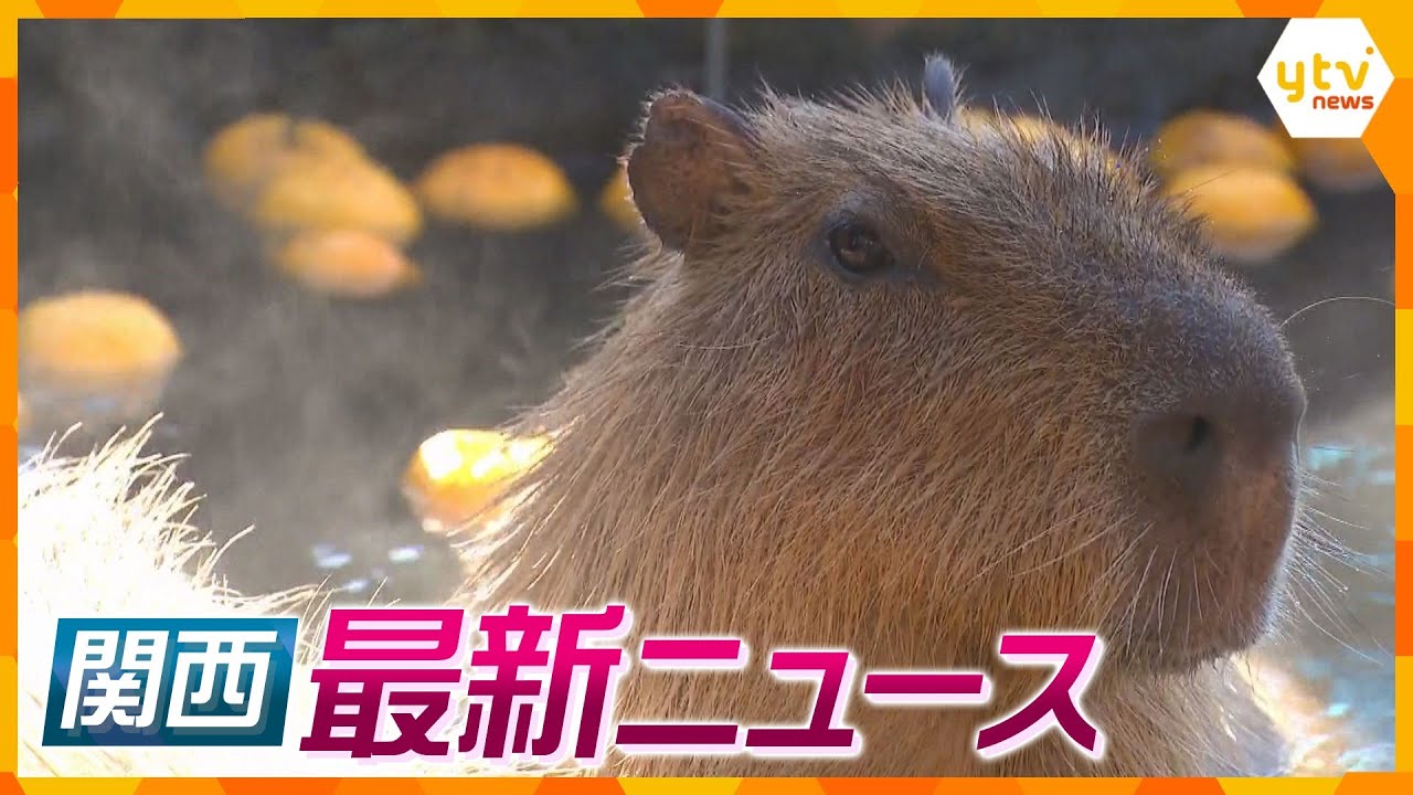 【ニュースライブ 12/22(金)】カピバラが「ゆず湯」でほっこり/近畿各地で今季一番の冷え込み/男子中学生がひき逃げされ重傷　ほか【随時更新】