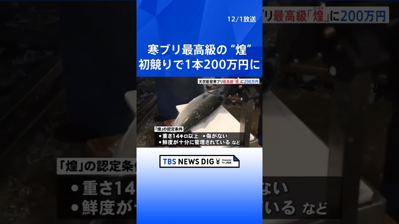 寒ブリの最高級ブランド“煌”に1本200万円の高値 石川で水揚げ|TBS NEWS DIG #shorts