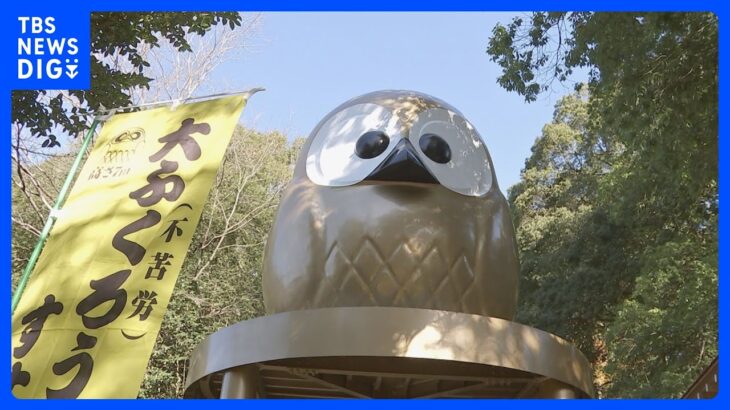 12月9日は「いーふくろう（不苦労）の日」　鷲子山上神社では7メートルの「大ふくろう像」をすす払い｜TBS NEWS DIG