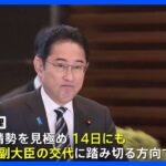 岸田総理　14日にも安倍派4閣僚を交代へ　政務官は慎重に検討　後任探しの難しさに安倍派からの反発も｜TBS NEWS DIG