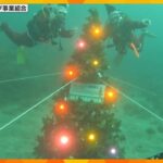 海の中もクリスマスムード　深さ18Ｍの海底に高さ3M“水中クリスマスツリー”設置　和歌山・串本町