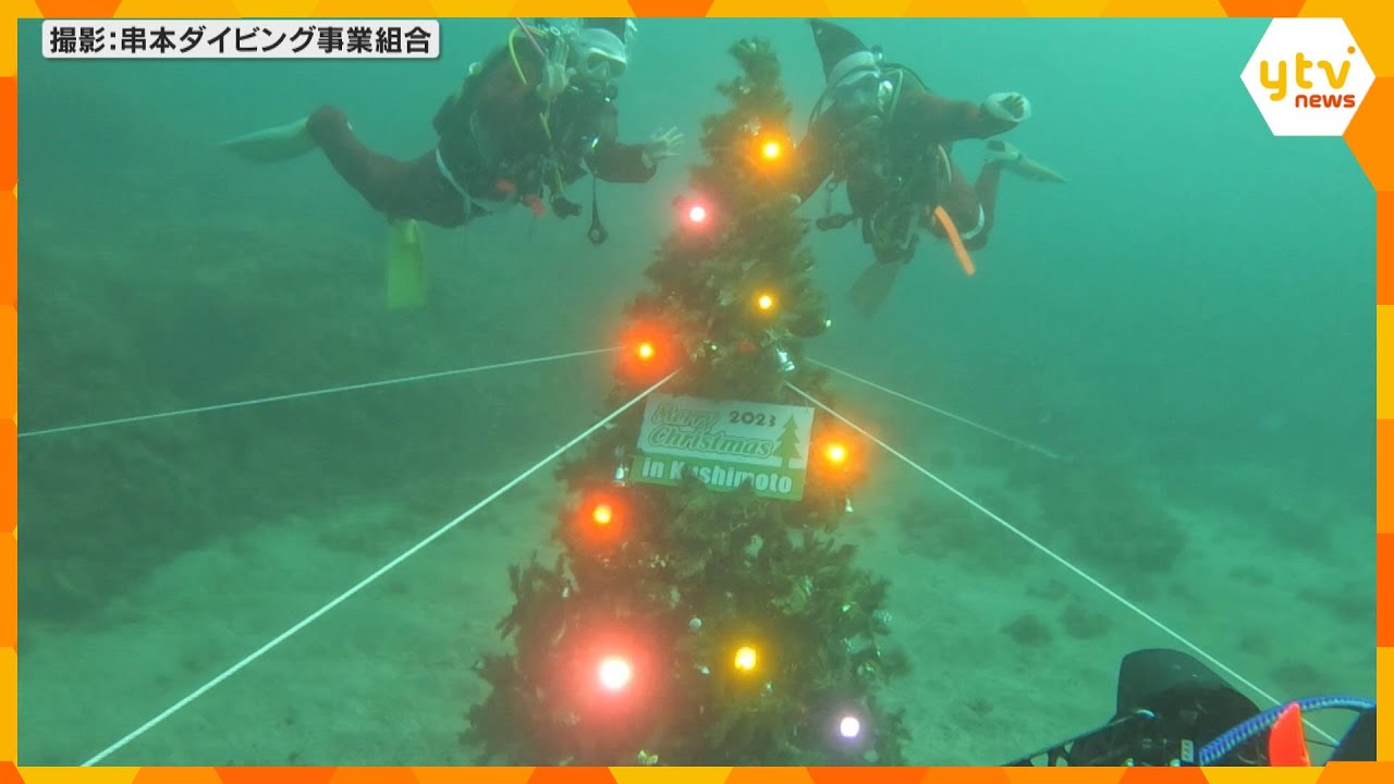 海の中もクリスマスムード　深さ18Ｍの海底に高さ3M“水中クリスマスツリー”設置　和歌山・串本町