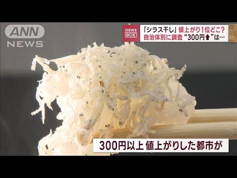 「シラス干し」高騰1位“岡山市”　去年の倍“869円”そのワケは？(2023年12月8日)