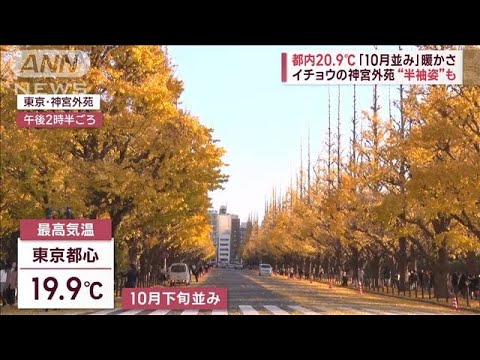 都内20.9℃　「10月並み」暖かさ　イチョウの神宮外苑“半袖姿”も(2023年12月7日)