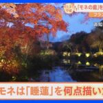モネの庭が高知県に！200万人が訪れる観光スポット！ライトアップで幻想的な姿に！モネは睡蓮の絵を生涯、何点 描いたか分かりますか？【すたすた中継】｜TBS NEWS DIG