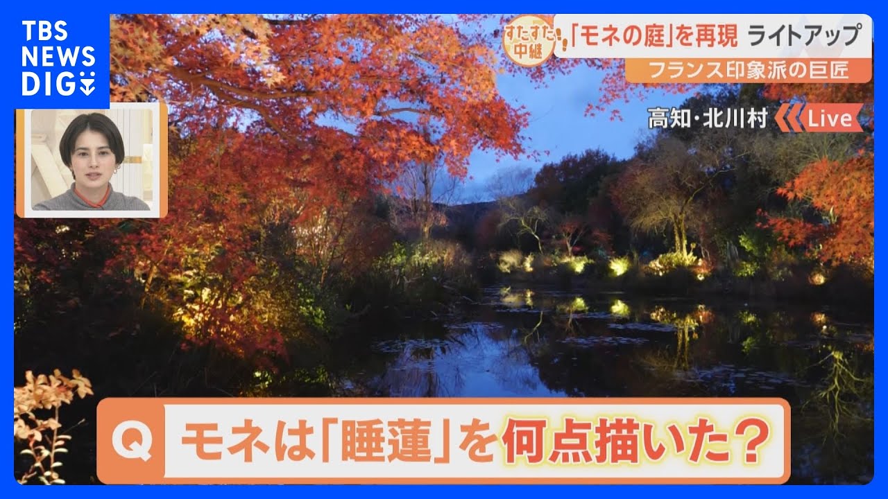 モネの庭が高知県に！200万人が訪れる観光スポット！ライトアップで幻想的な姿に！モネは睡蓮の絵を生涯、何点&nbsp;描いたか分かりますか？【すたすた中継】｜TBS&nbsp;NEWS&nbsp;DIG