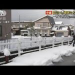 一夜で約30センチの積雪　富山にも「顕著な大雪情報」(2023年12月22日)