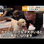 「犬を飼う」と認知症リスク4割低下　「散歩」で社会との接点増え…猫は影響なし？【グッド！モーニング】(2023年12月26日)