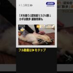 「犬を飼う」と認知症リスク4割低下　「散歩」で社会との接点増え…猫は影響なし？【グッド！モーニング】