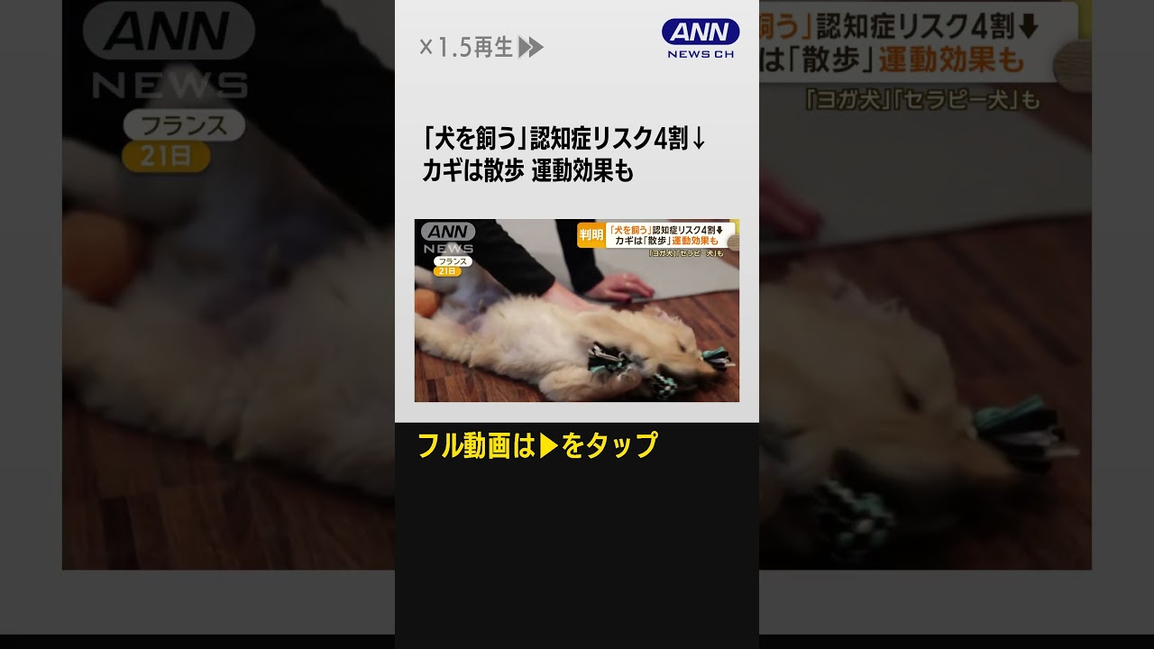 「犬を飼う」と認知症リスク4割低下 「散歩」で社会との接点増え…猫は影響なし?【グッド!モーニング】