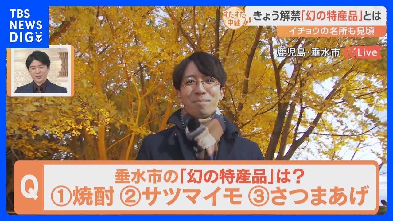 夫婦が約40年かけ作り上げたイチョウを眺めながら…12月1日解禁の「幻の特産品」ってナニ?鹿児島県垂水市をすたすた!|TBS NEWS DIG