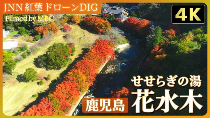 【4K】鹿児島 川のせせらぎと露天風呂からの紅葉【JNN 紅葉ドローンDIG 2023】| TBS NEWS DIG