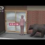 “冬眠せず”玄関でクマに襲われケガ…石川で6年ぶりの人身被害【スーパーJチャンネル】(2023年12月18日)