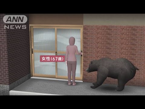 “冬眠せず”玄関でクマに襲われケガ…石川で6年ぶりの人身被害【スーパーJチャンネル】(2023年12月18日)