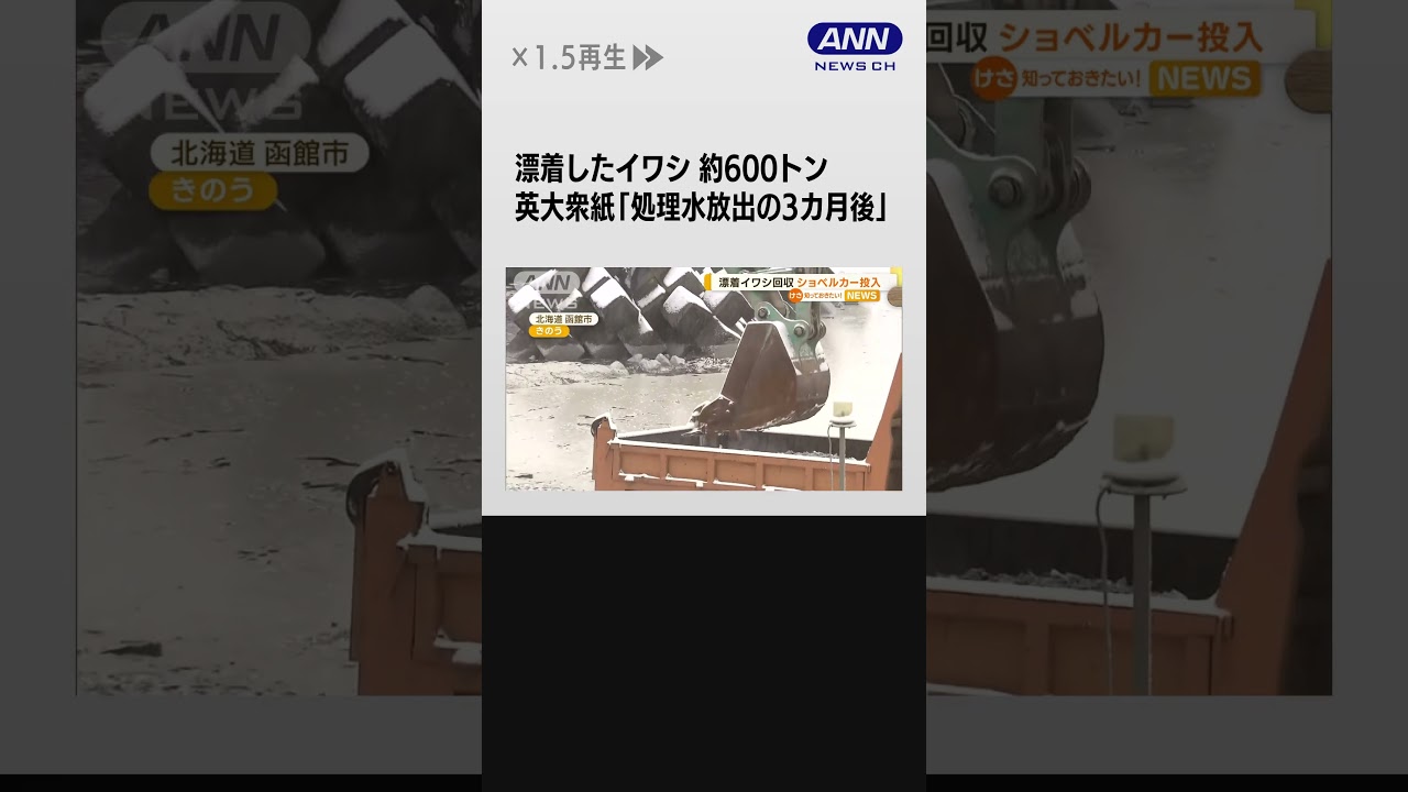 漂着イワシ約600t ショベルカー投入も手作業つづく…年内かかっても海中にまだ500tか #shorts