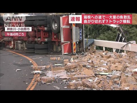 【速報】箱根ターンパイクに大量の魚散乱　曲がり切れず？トラック横転(2023年12月1日)