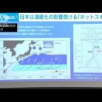 日本は温暖化の影響強い「ホットスポット」海水温上昇など列島周辺の急変に警戒感(2023年12月2日)