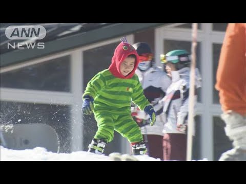 六甲山でスキー場オープン/クリスマス彩るポインセチア(2023年12月2日)