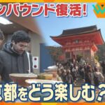 【ウェークアップ】彼らはいったいどこへ？そして何を求めているのか？　秋の観光シーズンの京都で外国人旅行客に密着