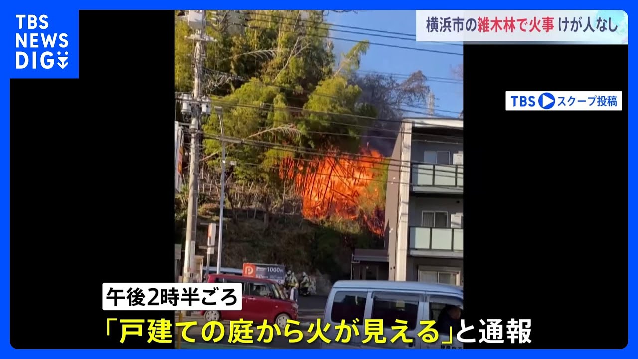 横浜市・保土ヶ谷区の雑木林で火災　けが人情報なし｜TBS&nbsp;NEWS&nbsp;DIG