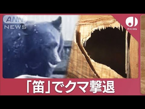 那須塩原でクマが出現…アパート破壊　笛で撃退　実験映像から見えた実態　(2023年12月4日)