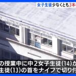 女子中学生が男子生徒の首をナイフで切りつけ　少なくとも3本の刃物を所持か 愛知・半田市｜TBS NEWS DIG