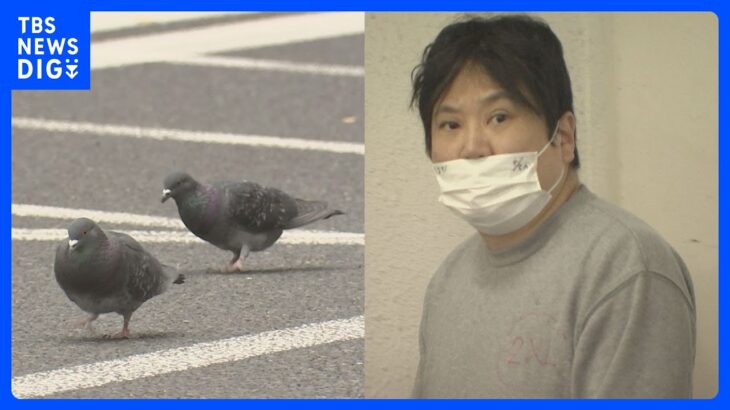 「人間の道路なので、逃げるのはハトの方だ」ハトの群れに時速60キロのタクシーで突っ込み…1羽殺した疑いで運転手逮捕　西新宿｜TBS NEWS DIG