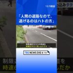「人間の道路なので、逃げるのはハトの方だ」ハトの群れに時速60キロのタクシーで突っ込み…1羽殺した疑いで運転手逮捕　西新宿｜TBS NEWS DIG#shorts