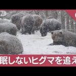 出没相次ぐ“冬眠しないクマ”北海道でドローン追跡…「1度上昇で冬眠期間6日短縮」(2023年12月6日)