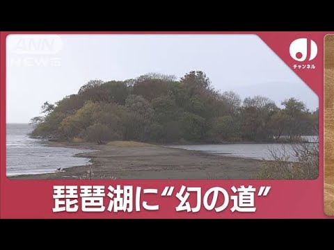 琵琶湖に“幻の道”が出現　カラカラでシジミ漁びっくり(2023年12月7日)