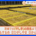 大注目のスイーツ！「干し芋」の魅力に迫る！生産現場は最盛期！干し芋作り体験も！新食感の絶品スイーツも登場！ほしいもシェイク！【すたすた中継】｜TBS NEWS DIG