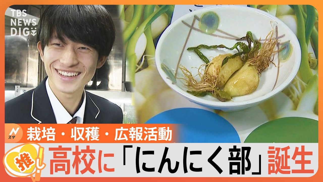 高校に「にんにく部」誕生、学校で栽培&nbsp;ふるさと納税にも【ゲキ推しさん】｜TBS&nbsp;NEWS&nbsp;DIG