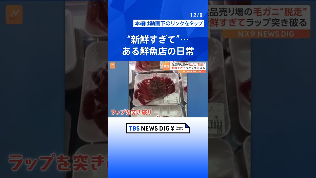 “新鮮すぎて”パックからカニが脱走？触発されたのか近くの毛ガニもモゾモゾ…「日常の風景」が話題｜TBS NEWS DIG#shorts