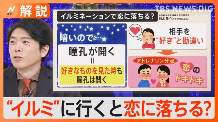 イルミネーションに行くと恋に落ちる？ 色によって違いも、脳研究の専門家によると…【Nスタ解説】｜TBS NEWS DIG