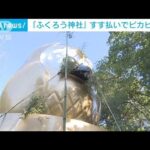 栃木“ふくろう神社”ですす払い　ピカピカ“金のフクロウ”で金運アップ！？(2023年12月9日)
