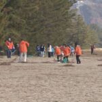 日本三景の一つ京都・宮津市の天橋立で一斉清掃　地元住民ら約１８００人が参加　集めたごみ約１５トン