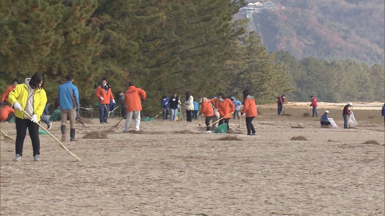 日本三景の一つ京都・宮津市の天橋立で一斉清掃　地元住民ら約１８００人が参加　集めたごみ約１５トン