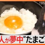 ぷるぷるオムライスに絶品卵かけご飯！外国人観光客がハマる！日本の“たまご料理”｜TBS NEWS DIG
