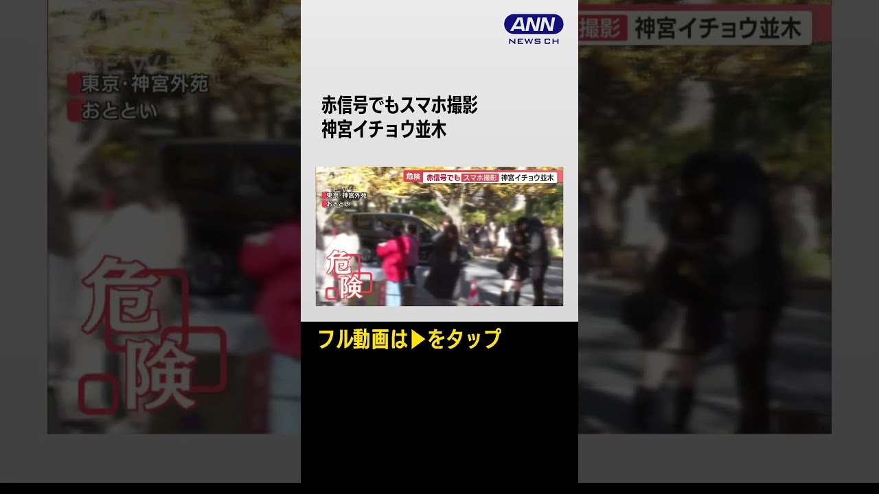神宮外苑のイチョウ並木　見頃で見物客殺到　車道で無謀撮影…規制前からホコ天状態に【羽鳥慎一 モーニングショー】（「羽鳥慎一 モーニングショー」2023年12月4日放送分より）