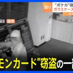 東京・池袋のトレカ店で“ポケモンカード”窃盗　防カメに犯行一部始終 被害総額2000万円、1枚50万円のレアカードも｜TBS NEWS DIG