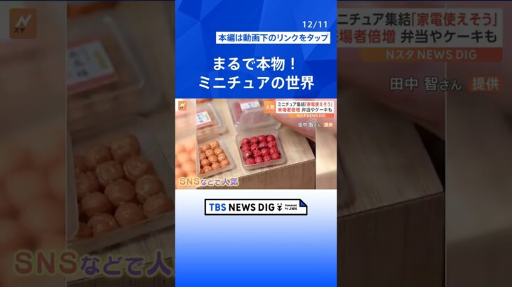 まるで本物のようなミニチュアアートの作品展　来場者数は去年の倍　超リアルな12分の1の世界とは！？｜TBS NEWS DIG#shorts