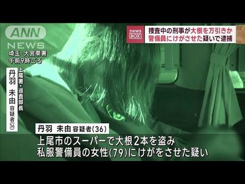 埼玉県警の女性刑事　捜査中に大根万引きし逮捕　逃走しようと79歳女性の警備員に暴行(2023年12月13日)