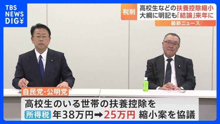 高校生のいる世帯への扶養控除を縮小　税制改正大綱に明記も「結論」来年に｜TBS NEWS DIG