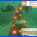 和歌山でクリスマスツリーを海中に！？いったいなぜ？この冬に見られる海の宝石「ウミウシ」って？｜TBS NEWS DIG